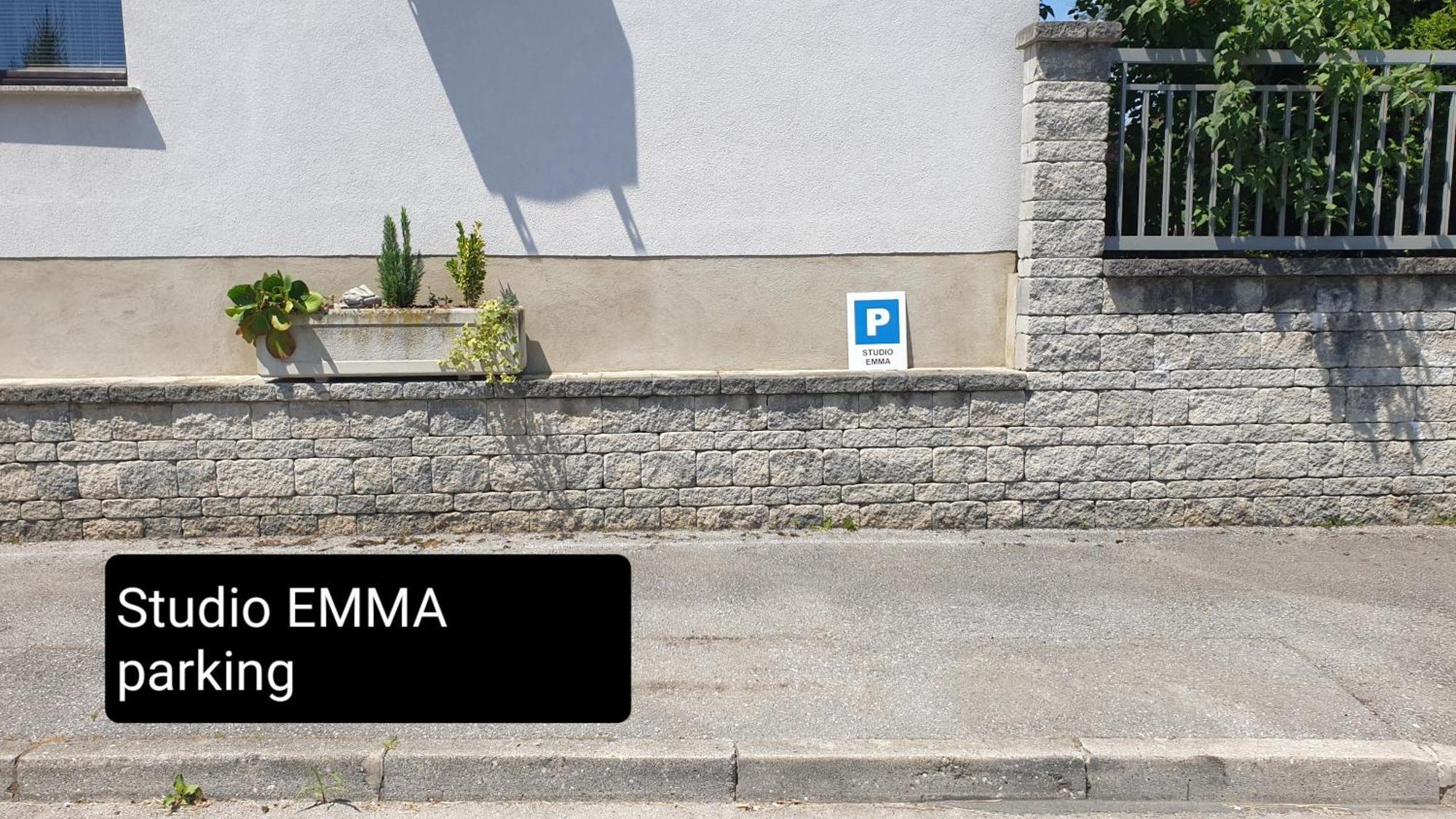 Studio Emma Ljubljana - Free Parking, Ac, Wifi מראה חיצוני תמונה